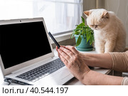 The eldest woman's hands hold a smartphone in front of a laptop. Стоковое фото, фотограф Ирина Кононова / Фотобанк Лори