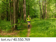 Young woman jogging on a path in a natural forest park. Стоковое фото, фотограф Евгений Харитонов / Фотобанк Лори