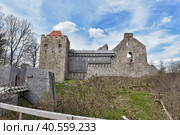 Ruins of medieval castle in Sigulda, Latvia. Built in 1207 as a castellum type fortress by the Livonian Brothers of the Sword who were later incorporated into the Teutonic Order of the castle (2016 год). Редакционное фото, фотограф Анна Кривицкая / Фотобанк Лори
