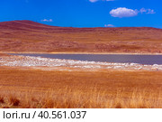Mineral lake in  steppe. Стоковое фото, фотограф Анна Кривицкая / Фотобанк Лори