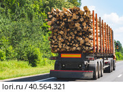 The truck transports wood on the highway export import and delivery of wood rear view. Стоковое фото, фотограф Скрипачев Антон / Фотобанк Лори