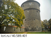 Fat Margarita is the tower of the Tallinn City Wall, located at the end of Pikk Street. The gun tower with 155 loopholes was built at the beginning of the 16th century in front of the Great Sea Gate. (2014 год). Редакционное фото, фотограф Анна Кривицкая / Фотобанк Лори