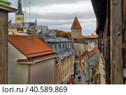 Red roofs of Tallinn. Estonia (2014 год). Редакционное фото, фотограф Анна Кривицкая / Фотобанк Лори