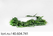 Creative christmas layout empty podium or pedestal display on white background with cylinder stand concept, with spruce christmas wreath, in the rays of the sun with shadows. Blank product shelf standing backdrop. Стоковое фото, фотограф Tatiana Syrtseva / Фотобанк Лори