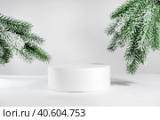 Creative christmas mock up empty podium or pedestal on christmas branch background, with cylinder stand concept, in the sun with hard shadows. Empty product shelf on background. Стоковое фото, фотограф Tatiana Syrtseva / Фотобанк Лори