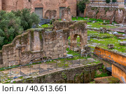 Rome - ancient Roman Forum, UNESCO World Heritage Site (2018 год). Редакционное фото, фотограф Анна Кривицкая / Фотобанк Лори