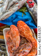 Various fish on the counter fish shop in Istanbul (2018 год). Редакционное фото, фотограф Анна Кривицкая / Фотобанк Лори