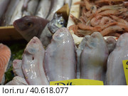 Solea solea in the fish market of Istanbul (2018 год). Редакционное фото, фотограф Анна Кривицкая / Фотобанк Лори