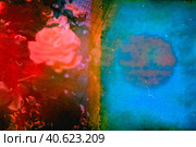 Инь янь. Стоковое фото, фотограф Полынская Алёна / Фотобанк Лори