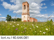 Троицкая церковь, село Санниково, Владимирская область (2023 год). Редакционное фото, фотограф Ирина Яровая / Фотобанк Лори