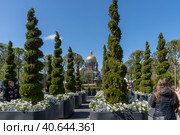 Деревья в саду-трансформере на Синем мосту возле Мариинского дворца. Санкт-Петербург (2023 год). Редакционное фото, фотограф Румянцева Наталия / Фотобанк Лори