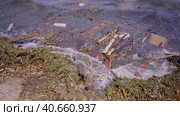 Close-up of floating debris has reached Black Sea beaches in Odessa, Ukraine. Environmental disaster caused by the explosion of Kakhovka Hydroelectric Power Plant dam. Стоковое фото, фотограф Некрасов Андрей / Фотобанк Лори
