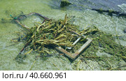 Window frame of house and other drifting debris has reached Black Sea beaches in Odessa, Ukraine. Environmental disaster caused by explosion of Kakhovka Hydroelectric Power Plant dam, panorama. Стоковое фото, фотограф Некрасов Андрей / Фотобанк Лори