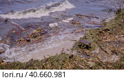 Window frame of house and other drifting debris has reached Black Sea beaches in Odessa, Ukraine. Environmental disaster caused by explosion of Kakhovka Hydroelectric Power Plant dam, panorama. Стоковое фото, фотограф Некрасов Андрей / Фотобанк Лори