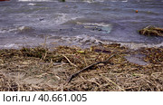 Part of wall of house floats near shore, floating debris has reached Black Sea beaches in Odessa, Ukraine. Environmental disaster caused by explosion of Kakhovka Hydroelectric Power Plant dam, closeup. Стоковое фото, фотограф Некрасов Андрей / Фотобанк Лори