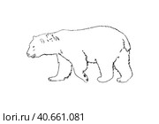 Bear predatory animal doodle linear cartoon coloring book. Стоковая иллюстрация, иллюстратор Вахминцева Ольга / Фотобанк Лори