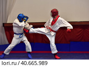 Championship in army hand-to-hand combat (2017 год). Редакционное фото, фотограф Анна Кривицкая / Фотобанк Лори