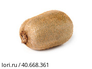 Kiwi. Стоковое фото, фотограф Винокуров Александр / Фотобанк Лори