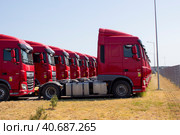 Грузовики DAF на стоянке логистической компании. Перевозка грузов. Ряд грузовиков. Грузовики красного цвета без прицепа на стоянке. Солнечный день. DAF trucks remain in the parking lot of a logistics company. Cargo transportation. A number of trucks. Trucks in the parking lot. Sunny day. (2023 год). Редакционное фото, фотограф Volha Zhurauliova / Фотобанк Лори
