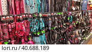 Pet products at a pet store (2019 год). Редакционное фото, фотограф Анна Кривицкая / Фотобанк Лори