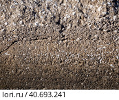 Interspersed pebbles, cracks and dents are visible on the surface of the old cemented wall. The wall is illuminated by the sun. Stone background. Empty space for text. Стоковое фото, фотограф Бузмакова Светлана / Фотобанк Лори