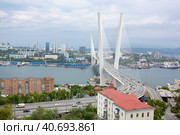 Владивосток. Вид на Золотой мост в пасмурную погоду. Редакционное фото, фотограф Галина / Фотобанк Лори