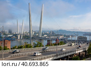 Владивосток. Вид на Золотой мост (2023 год). Редакционное фото, фотограф Галина / Фотобанк Лори