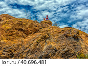 Saguaro National Park, landscape with cloudy sky (2016 год). Стоковое фото, фотограф Анна Кривицкая / Фотобанк Лори