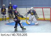 Training complex for hockey players, (2017 год). Редакционное фото, фотограф Анна Кривицкая / Фотобанк Лори