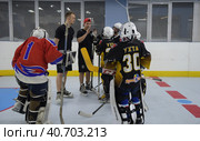 Training complex for hockey players, (2017 год). Редакционное фото, фотограф Анна Кривицкая / Фотобанк Лори