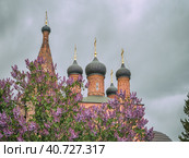 Крутицкое подворье в Москве. Цветущая сирень на фоне церковных куполов. (2023 год). Редакционное фото, фотограф Сергей Никифоров-Гордеев / Фотобанк Лори