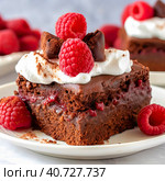Brownie sponge cake sprinkled with fresh raspberries. Created by AI. Стоковое AI-изображение, AI-художник Ярославский Максим / Фотобанк Лори