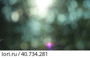 Natural blurry bokeh motion background with some artifacts like scratches on the foreground glass. Стоковое видео, видеограф Евгений Тарасенко / Фотобанк Лори