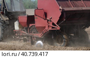 Planting potato with planting machine, seed tool for tractor, tractor farmer works in field in spring. Стоковое видео, видеограф Владимир Григорьев / Фотобанк Лори