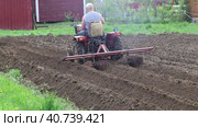 Harrowing potato field with homemade harrow attachment for mini tractor. Стоковое видео, видеограф Владимир Григорьев / Фотобанк Лори