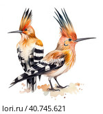 Two hoopoe birds. Illustration AI Generative. Стоковое AI-изображение, AI-художник Юлия Гапеенко / Фотобанк Лори