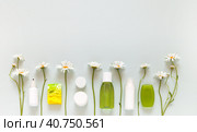 Chamomile cleansing cosmetics for hot season: facial wash, natural cream soap, moisturizing lotion, spray, day face cream, shampoo with chamomile extract on light background. Copy space, flat lay, mockup. Стоковое фото, фотограф Виктория Катьянова / Фотобанк Лори