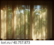 Curtained window in a dark room, a view of the green trees. Стоковое фото, фотограф Сизов Иван Николаевич / Фотобанк Лори