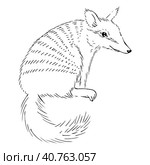 Древнее сумчатое животное. Животное Австралии. Animal sketch illustration with cute cartoon style. Стоковая иллюстрация, иллюстратор Ольга Головкина / Фотобанк Лори