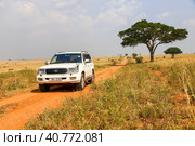 Toyota Land Cruiser 100 (2023 год). Редакционное фото, фотограф Art Konovalov / Фотобанк Лори