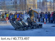 Demonstration performance of the Russian Army landing troops in honor of the Day of the Defender of the Fatherland (2018 год). Редакционное фото, фотограф Анна Кривицкая / Фотобанк Лори