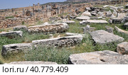 Hie rapolis Ancient City Ruin in Pa mukkale in Turkey (2009 год). Стоковое фото, фотограф Анна Кривицкая / Фотобанк Лори