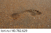 Footprint at sunset with wet sand. Sandy wet beach and footsteps. Healing coarse quartz sand with shells. Vityazevo, Anapa, Krasnodar Territory, Russia. Tourist footprints. Стоковое фото, фотограф Юлия Петровская / Фотобанк Лори
