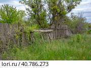 Покосившийся деревянный забор на заброшенном участке. Old wooden fallen broken fence on an abandoned overgrown summer cottage. Стоковое фото, фотограф Валерий Елистратов / Фотобанк Лори