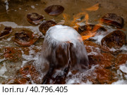 Горящая вода, вытекающая из пробуренной скважины. Стоковое фото, фотограф Наталья Волкова / Фотобанк Лори
