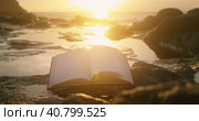 Close-up open book and bright sunset light. Reading education concept. Cinematic magical ocean beach. Scriptures Holy Bible. Стоковое фото, фотограф Ольга Сухарева / Фотобанк Лори