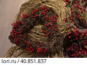 Christmas branches with red berries. Стоковое фото, фотограф Анна Кривицкая / Фотобанк Лори