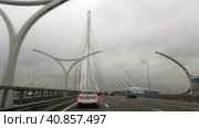 Western high-speed diameter is an intracity toll highway in St. Petersburg. (2020 год). Редакционное фото, фотограф Анна Кривицкая / Фотобанк Лори
