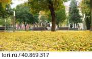 Leaf fall in the city park. A breath of wind causes the leaves to fly. A street without people. Autumn weather. Indian summer. Ginkgo biloba leaves fall to the ground. Yellow foliage and fall leaves. Стоковое видео, видеограф Юлия Петровская / Фотобанк Лори
