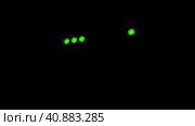 Wi-Fi router or modem light blinking. Wireless internet connection. Flashing green warning lights in black darkness. The process of transferring information through modern means of communication. Стоковое видео, видеограф Юлия Петровская / Фотобанк Лори